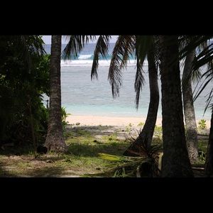 Meet your Posher, Yvonne